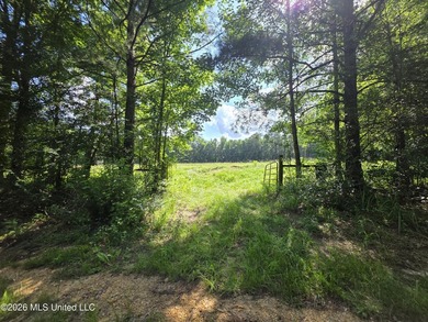 73.6+/- Acres on Summers Lane | Brookhaven, Mississippi Welcome - photo 23