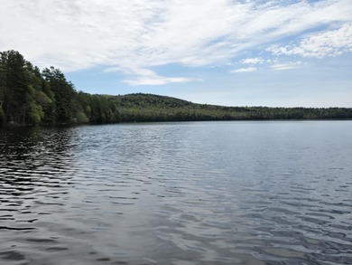 Boat or snowmobile access only. This southerly facing 1.8 acre - photo 3