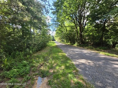 73.6+/- Acres on Summers Lane | Brookhaven, Mississippi Welcome - photo 24