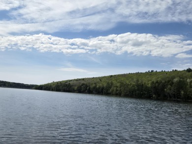 Boat or snowmobile access only. This southerly facing 1.8 acre - photo 4