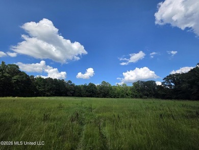 73.6+/- Acres on Summers Lane | Brookhaven, Mississippi Welcome - photo 25