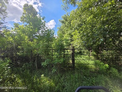 73.6+/- Acres on Summers Lane | Brookhaven, Mississippi Welcome - photo 26