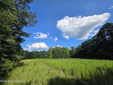 73.6+/- Acres on Summers Lane | Brookhaven, Mississippi Welcome - photo 27