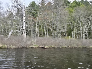 Boat or snowmobile access only. This southerly facing 1.8 acre - photo 7