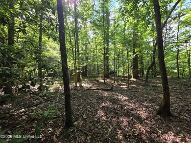 73.6+/- Acres on Summers Lane | Brookhaven, Mississippi Welcome - photo 28