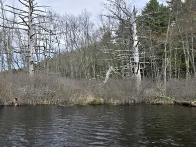Boat or snowmobile access only. This southerly facing 1.8 acre - photo 9