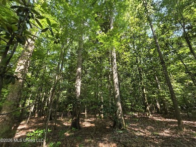 73.6+/- Acres on Summers Lane | Brookhaven, Mississippi Welcome - photo 30