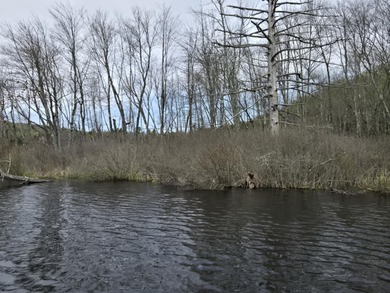 Boat or snowmobile access only. This southerly facing 1.8 acre - photo 10