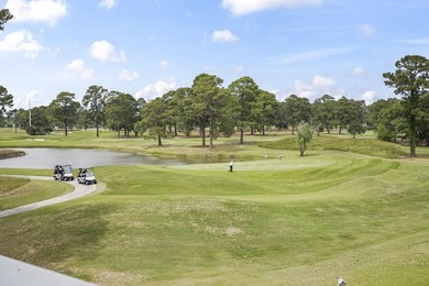 Turnkey Coastal Living & Premium Golf Views at Magnolia Place! - photo 31
