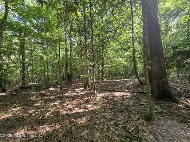 73.6+/- Acres on Summers Lane | Brookhaven, Mississippi Welcome - photo 31