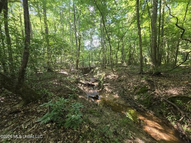 73.6+/- Acres on Summers Lane | Brookhaven, Mississippi Welcome - photo 33