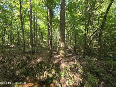 73.6+/- Acres on Summers Lane | Brookhaven, Mississippi Welcome - photo 34