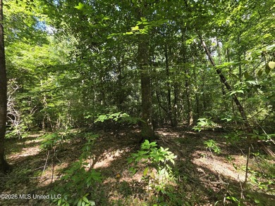 73.6+/- Acres on Summers Lane | Brookhaven, Mississippi Welcome - photo 37