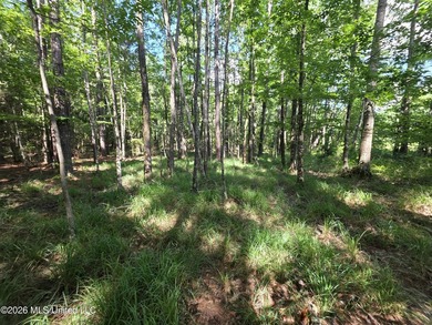 73.6+/- Acres on Summers Lane | Brookhaven, Mississippi Welcome - photo 40