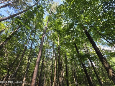 73.6+/- Acres on Summers Lane | Brookhaven, Mississippi Welcome - photo 43