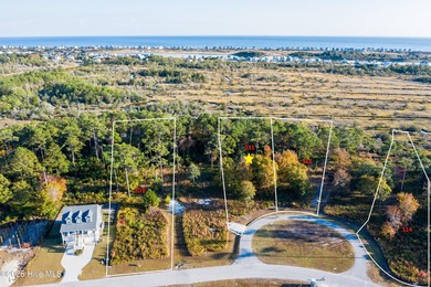 Bring Your Builder to Marsh Haven Landing, one of the few - photo 4