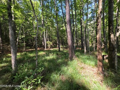 73.6+/- Acres on Summers Lane | Brookhaven, Mississippi Welcome - photo 44