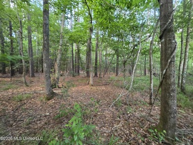73.6+/- Acres on Summers Lane | Brookhaven, Mississippi Welcome - photo 50