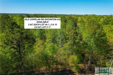 Lake Acreage For Sale in Eatonton, Georgia