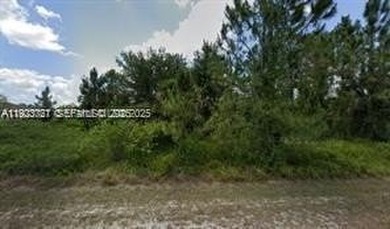 Lehigh Acres Area Lot For Sale in Lehigh Acres Florida