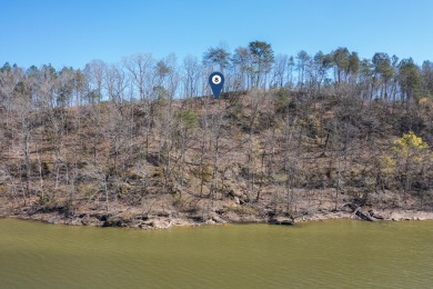 Lake Lot For Sale in Crane Hill, Alabama