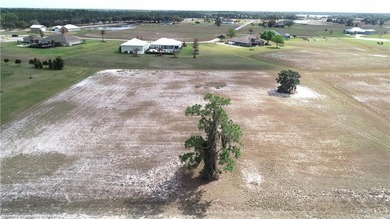 Lake Ruth Acreage For Sale in Sebring Florida