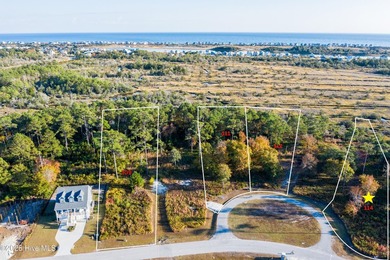Bring Your Builder to Marsh Haven Landing, one of the few - photo 4