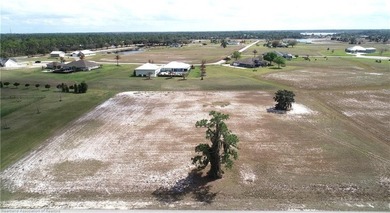 THIS COULD BE WHERE YOU CHOOSE TO BUILD YOUR NEW HOME! LOCATED - photo 6