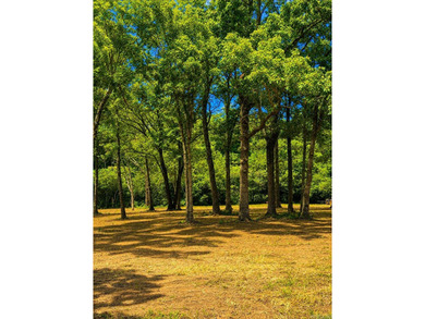 Enjoy the best of both worlds with this beautiful 3.97-acre - photo 1