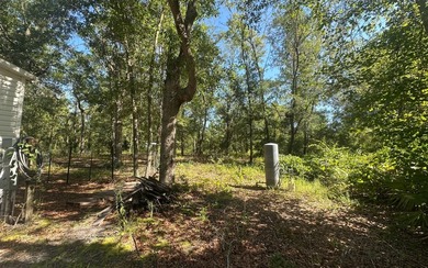 Basically BOGO! Two large manufactured homes on almost 2 acres - photo 12