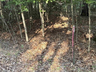 Rare Opportunity - 6.55 Acres in Webbs Landing Subdivision - photo 7