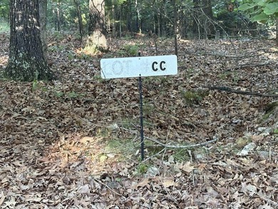 Rare Opportunity - 6.55 Acres in Webbs Landing Subdivision - photo 9