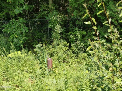 Galway Lake - Saratoga Co - Galway Schools - Not too many vacant - photo 2