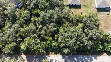 This vacant lot is located in the established Peace River Shores - photo 1
