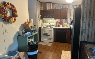 Basically BOGO! Two large manufactured homes on almost 2 acres - photo 31