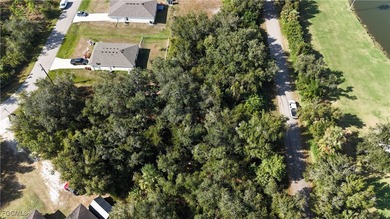 This vacant lot is located in the established Peace River Shores - photo 2