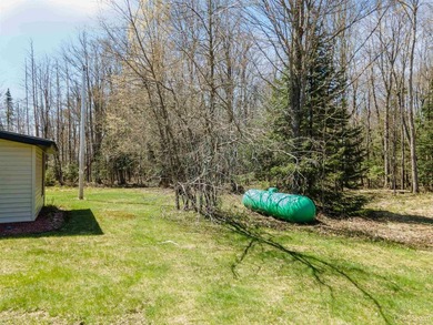 Experience waterfront living at its finest on beautiful Iron - photo 38