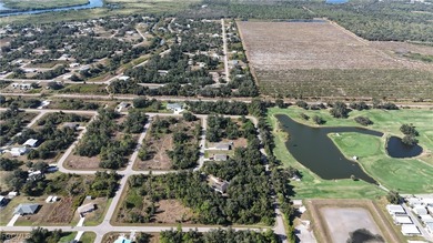 This vacant lot is located in the established Peace River Shores - photo 9