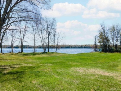 Experience waterfront living at its finest on beautiful Iron - photo 42