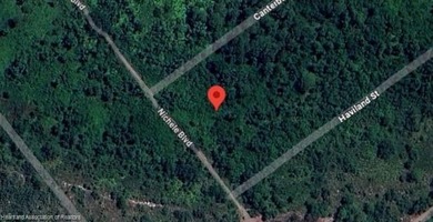 Secluded vacant lot located a short ride of Lake Istokpoga and - photo 5