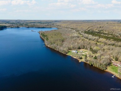 Experience waterfront living at its finest on beautiful Iron - photo 47
