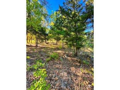 LAKEFRONT LOT FOR SALE IN EUFAULA, OK! Experience the ultimate - photo 3