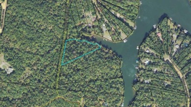 Lake Acreage For Sale in Sparta, Georgia