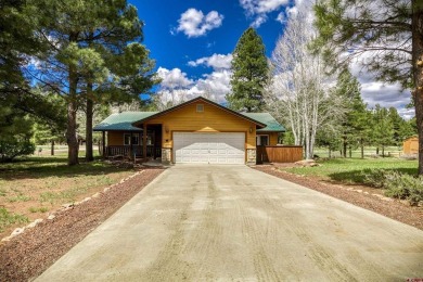 Lake Home For Sale in Pagosa Springs, Colorado