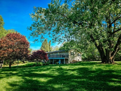 (private lake, pond, creek) Home For Sale in Hillsdale Michigan