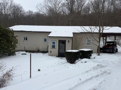 (private lake, pond, coastal) Home For Sale in Port Allegany Pennsylvania