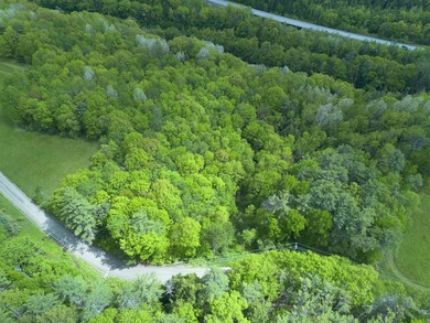This sale includes two lots on a quiet town-maintained road - photo 11