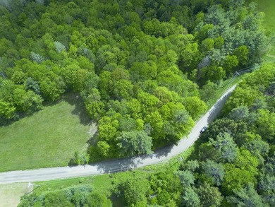 This sale includes two lots on a quiet town-maintained road - photo 12