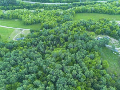 This sale includes two lots on a quiet town-maintained road - photo 13