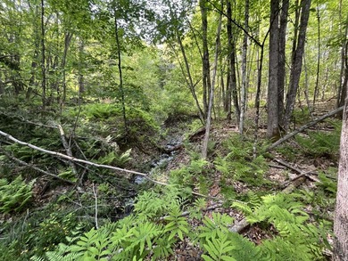 This sale includes two lots on a quiet town-maintained road - photo 15